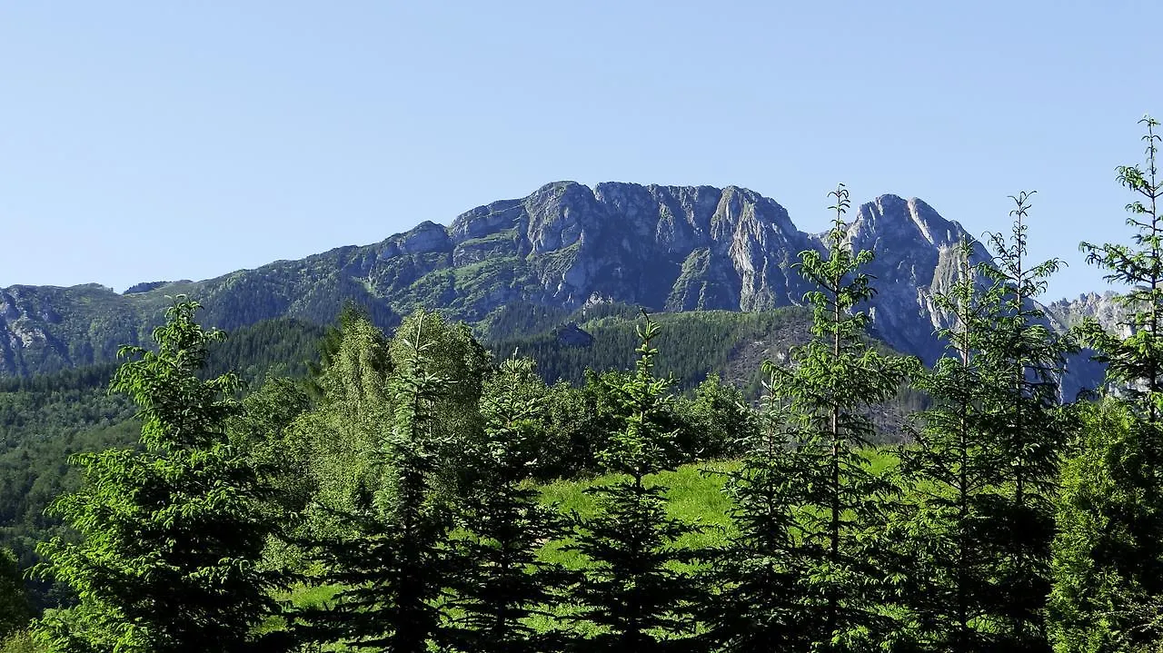 Apartment Apartament Promyk Pod Lipkami Apartzakop Zakopane